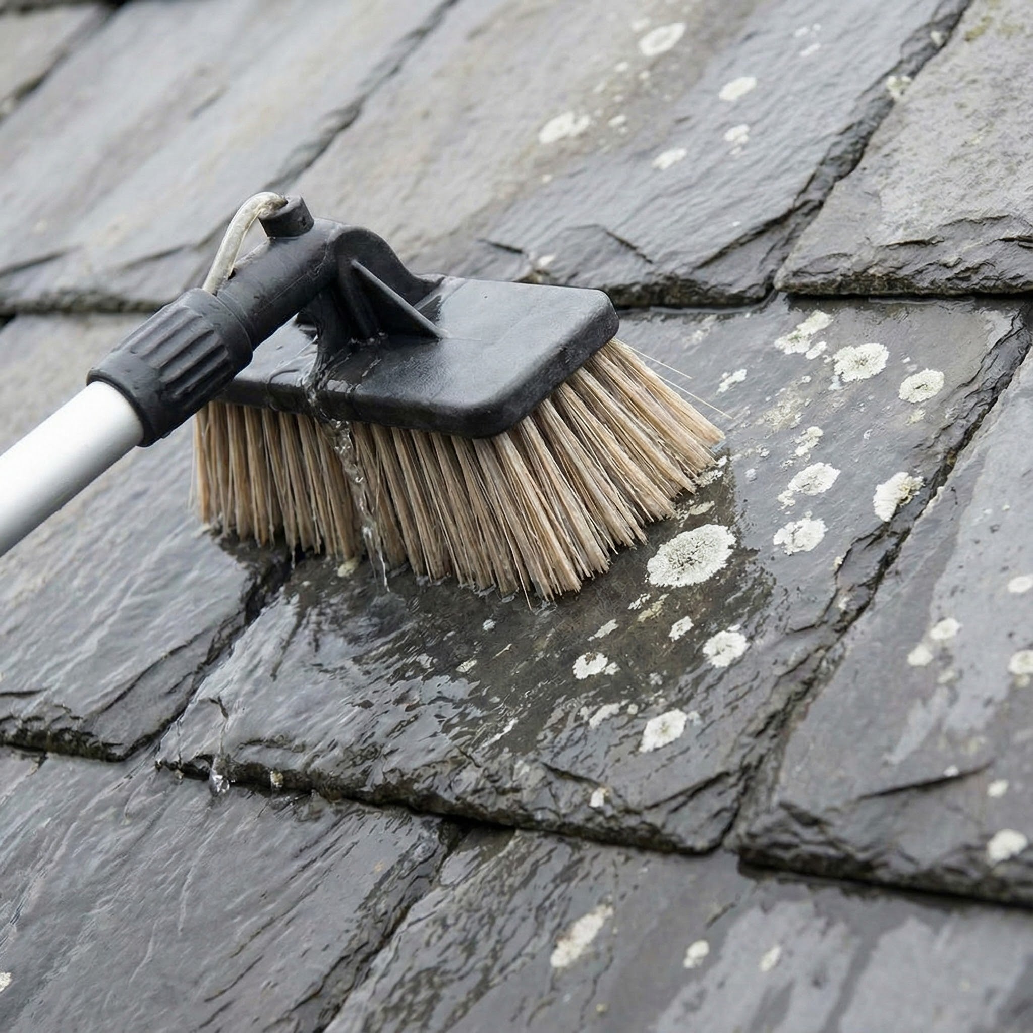 Pressure Washing Roofs Safely: Avoiding Leaks & Damage - Everest Paints